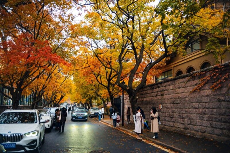 Qingdao: City Highlights and Tsingtao Beer Museum - Tsingtao Brewery Museum