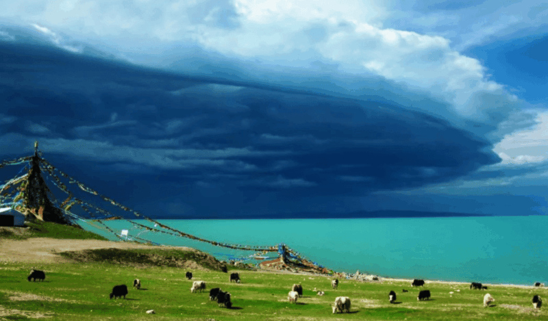 Qinghai Lake Day Tour With Private Transfer &Guide - Inclusions and Important Information