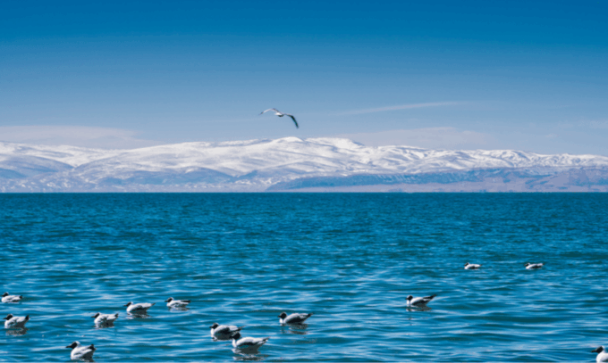 Qinghai Lake Day Tour With Private Transfer &Guide - Private Transfer and Guide