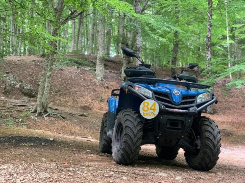 Quad Adventure - Mt. Faito & Vico Equense - Inclusions