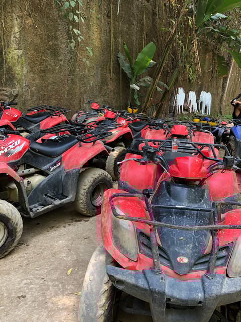 Quad Atv Tandem Adventure Ubud - Suitability and Requirements