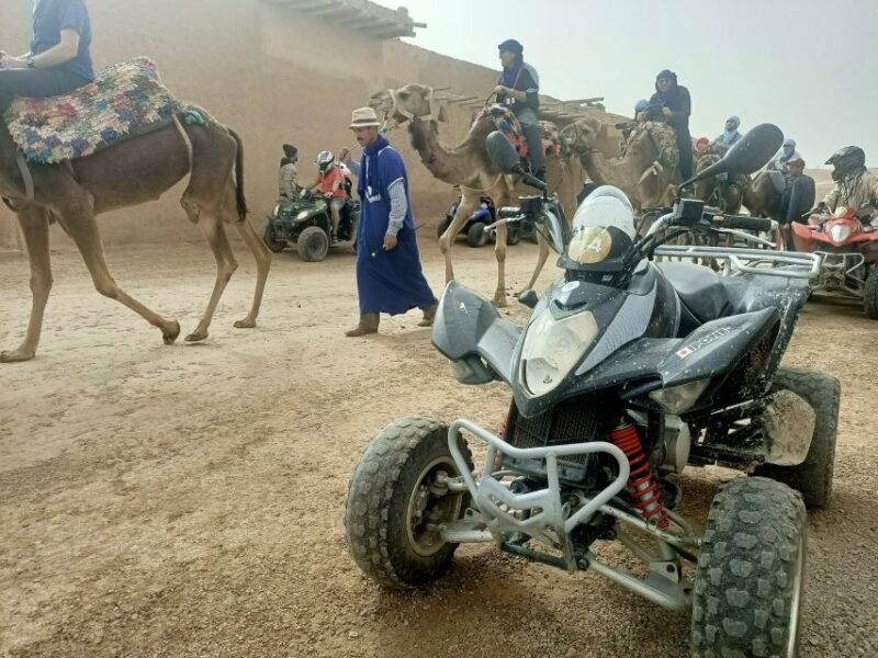 Quad Bike, Camel Ride & Hammam Massage - Activity Highlights