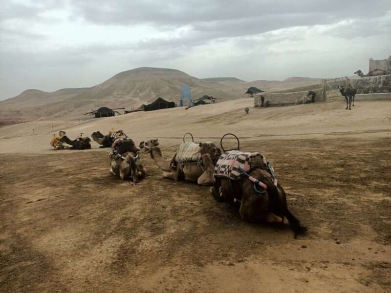 Quad Bike, Camel Ride & Hammam Massage - Cancellation Policy