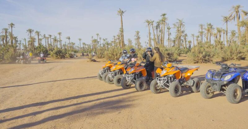 Quad Bike in the Desert & Dromedary Tour - Pricing Details