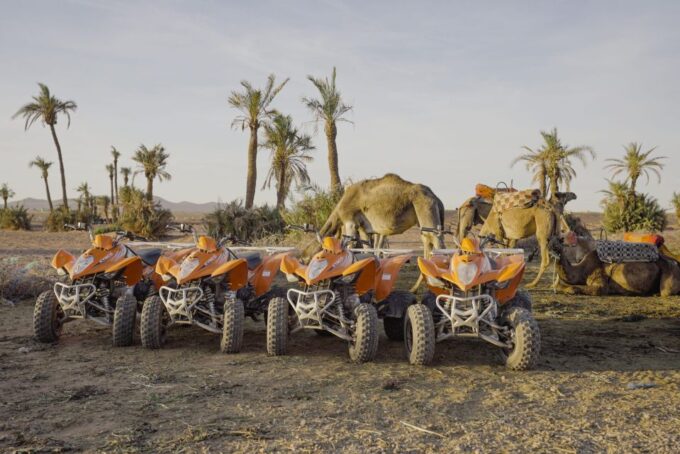 Quad Bike in the Desert & Dromedary Tour - Frequently Asked Questions