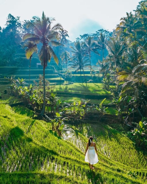 Quad Bike Riding, Rice Terrace & Swing - Frequently Asked Questions
