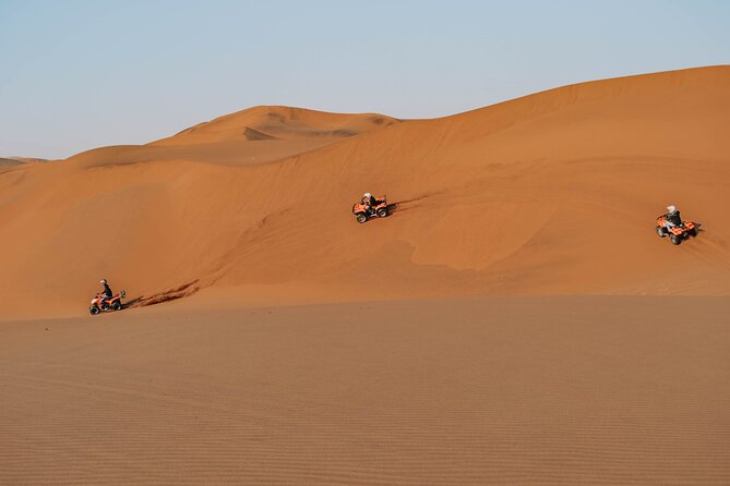 Quad Bike Tour (1 Hour) - Tour Overview