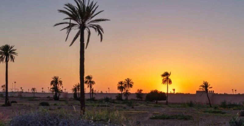 QUAD BIKING AND CAMEL HALF DAY TRIP IN MARRAKESH - Key Points