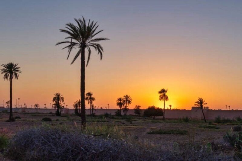 QUAD BIKING AND CAMEL HALF DAY TRIP IN MARRAKESH - Highlights