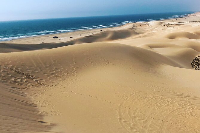 Quad Biking and Sandboarding on Sand Dunes Wild Beach - Soaring Down the Sand Dunes