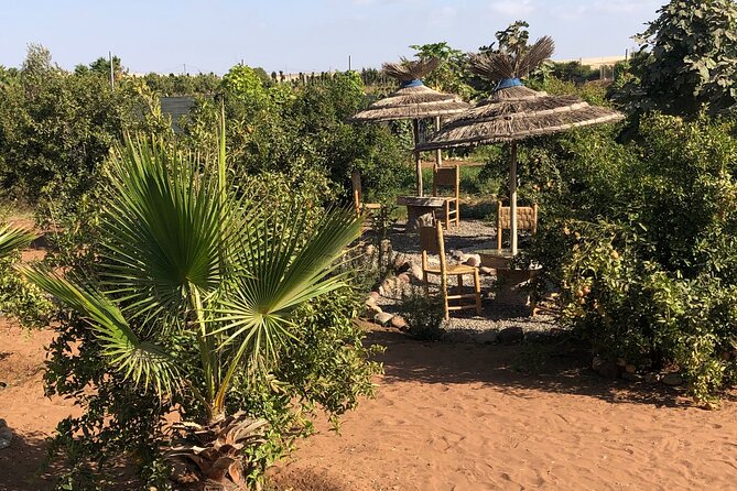 Quad Biking and Sandboarding on Sand Dunes Wild Beach - Exploring the Tifnit Adventure Center
