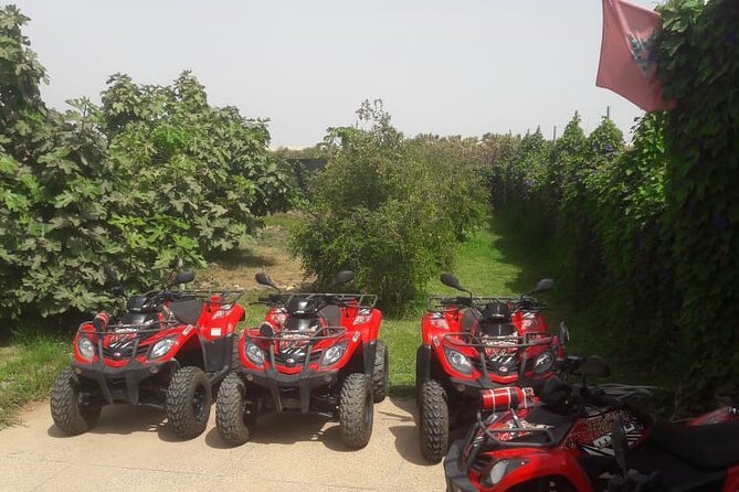 Quad Biking and Sandboarding on Sand Dunes Wild Beach - Convenient Pickup and Drop-off Service
