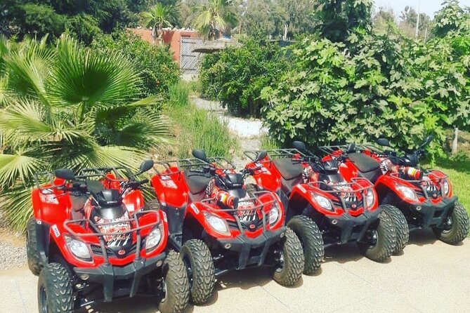 Quad Biking and Sandboarding on Sand Dunes Wild Beach - Exceptional Customer Feedback