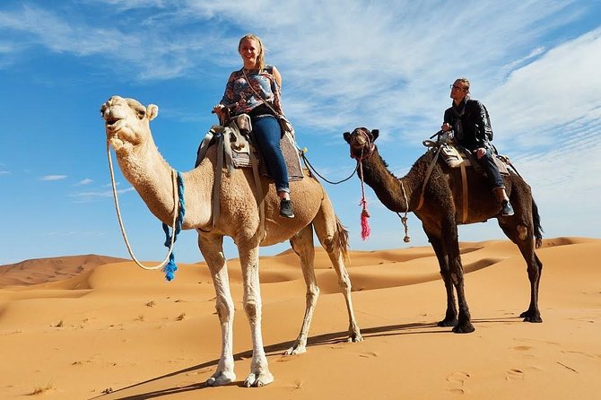 Quad Biking & Dromedary Riding - Key Points