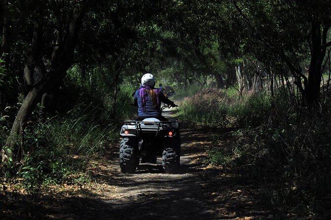 Quad Biking in Belek Forests & Taurus Mountains - Visitor Reviews and Ratings