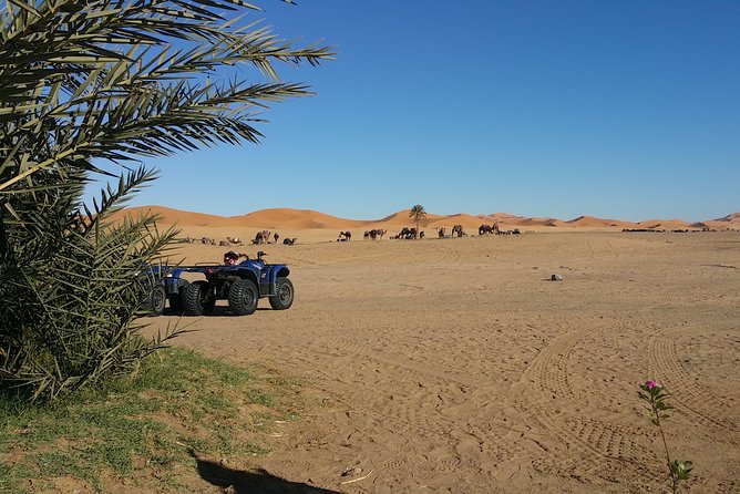 Quad Biking in Merzouga Dunes Desert Erg Chebbi - Refreshments and Breaks on the Trail