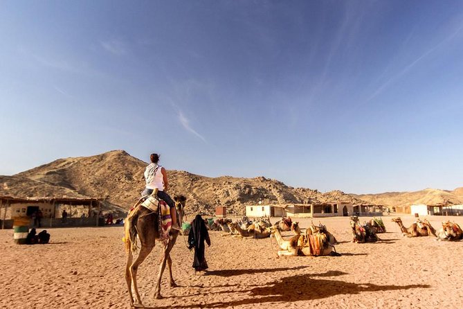Quad Biking in the Egyptian Desert From Hurghada - Logistics and Pricing