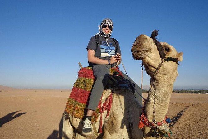 Quad Biking Safari-Camel Ride-Bedouin Dinner and Shows From Sharm - Traveler Experiences