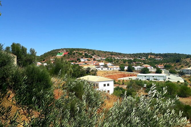 Quad Biking Sightseeing Tour in Albufeira - Tour Overview
