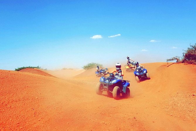 Quad Biking Tour From Marrakech - Customer Reviews and Feedback