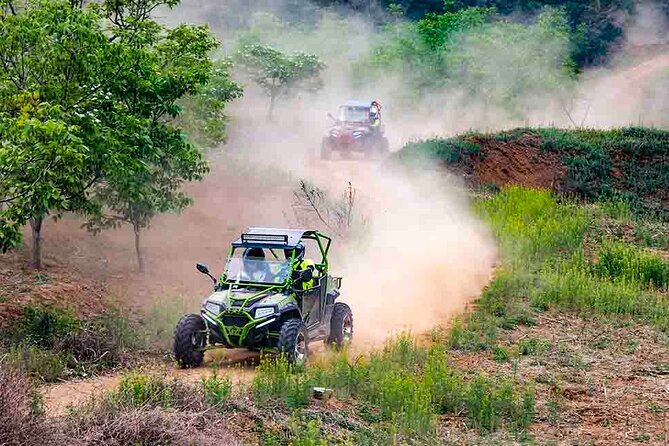 Quad Buggy Excursion Tour - 8-Person Maximum, 4 Vehicles Available