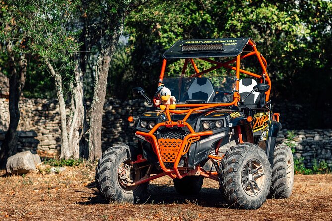 Quad Buggy Excursion Tour - Flexible Driving Options During Tour