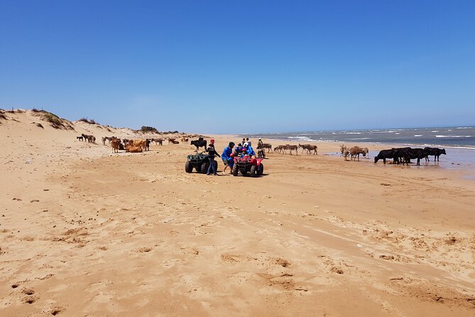 Quad Day With Meal: Sidi Kaouki 6 Hours (Free Transfer) - Explore Desert, Beaches, and Forests