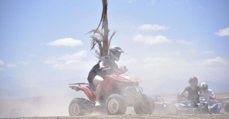 Quad Excursion in the Agafay Desert With Evening Dinner Show - Key Points
