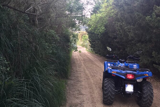 Quad Excursions in the Heart of Sicily - Booking Information