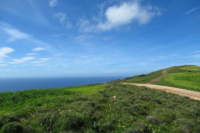 Quad or Buggy Tour From Coral Bay to Adonis Baths - Included in the Tour
