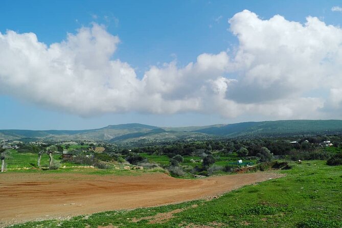 Quad or Buggy Tour From Coral Bay to Adonis Baths - Akama Peninsula and Forest