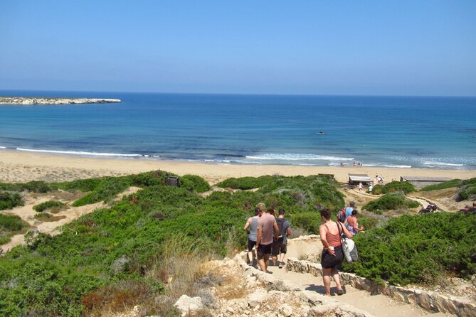 Quad or Buggy Tour From Coral Bay to Akamas Forest - Accessibility and Participation