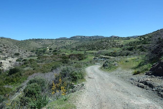 Quad or Buggy Tour From Coral Bay to Lara Bay - Accessibility and Requirements