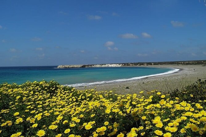 Quad or Buggy Tour From Coral Bay to Lara Bay - Customer Reviews