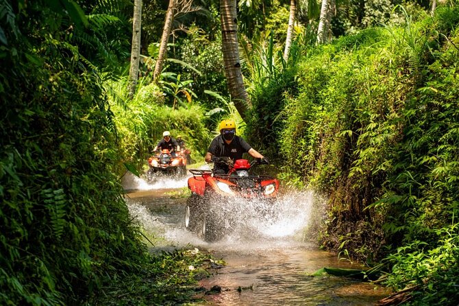 Quad Ride and Ubud Tour - Group Size