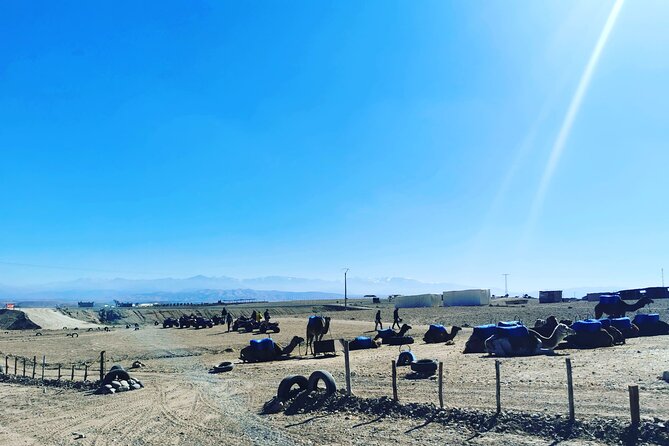 Quad Ride In The Agafay Desert - Tour Schedule and Duration