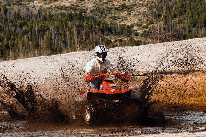 Quad Safari Experience in Alanya (Adventure Tour) W/ Free Hotel Transfer - Exclusions and Additional Costs