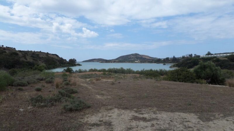 Quad Safari Ierapetra Day Tour - Conditions