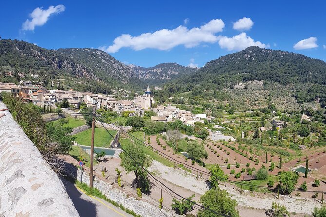 Quad Tour From Paguera 3 Hours - Stunning Scenery and Adventure