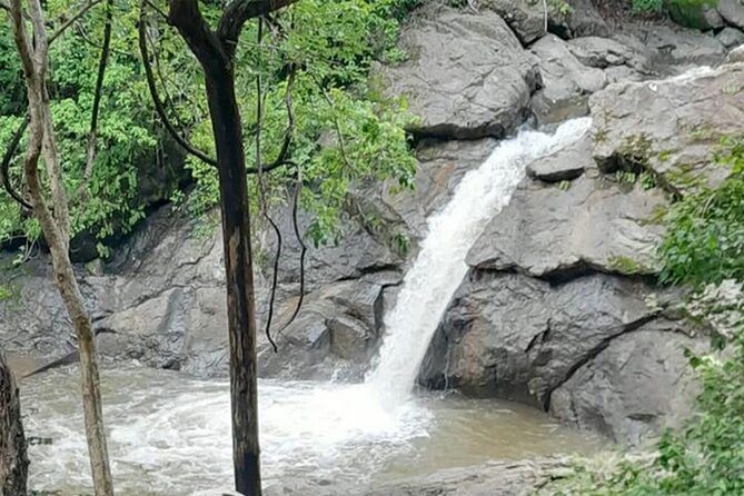 Quad Tour in Guanacaste With Pickup - Inclusions and Restrictions