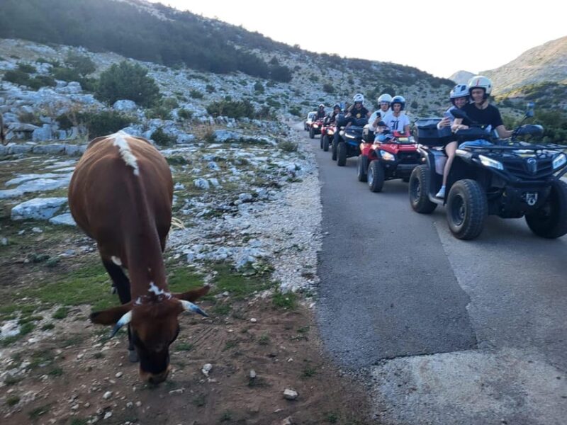 Quad Tour to Biokovo Skywalk - Participant Information and Restrictions