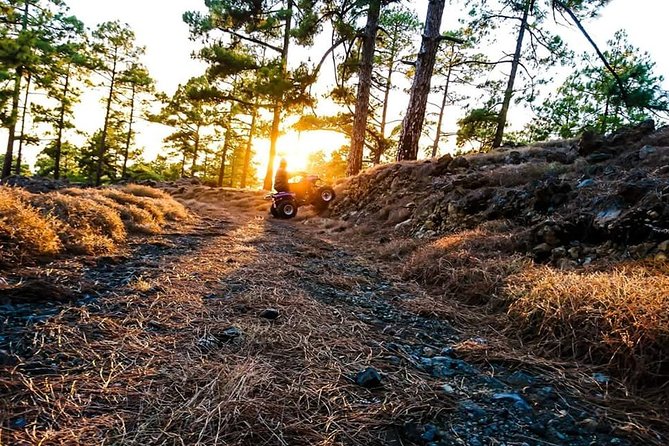 Quad Tour Volcano Teide With Sunset Option - Tour Highlights and Inclusions