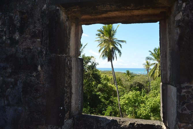 Quadricycle Private Tour Sapiranga - Praia Do Forte by Emytour - Inclusions