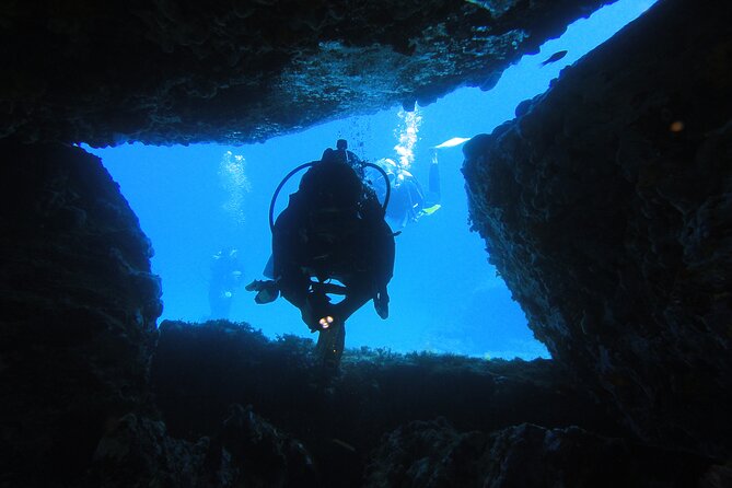 Qualified Diver 1 Tank Dive in Mykonos - Preparing for Your Dive Adventure