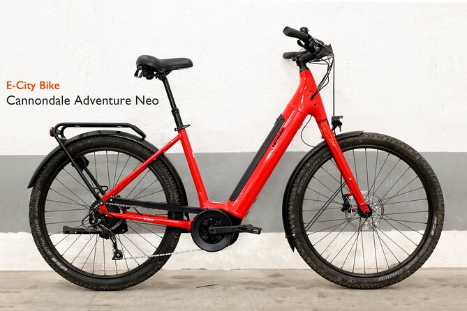 Quality E-Bike Rental in Rome - E-Bike Features and Safety Highlights