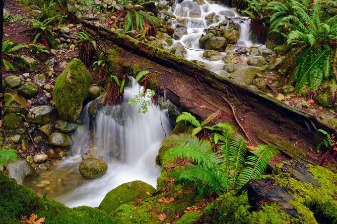 Quarry Rock Hike and Deep Cove Photography - Inclusions and Amenities