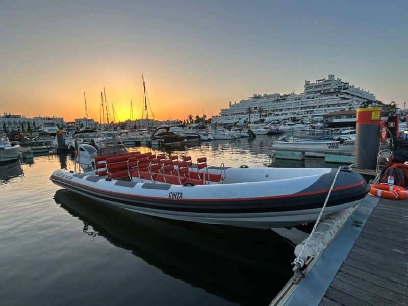 Quarteira: Algarve Coast, Caves and Dolphin Watching Cruise - Itinerary Highlights