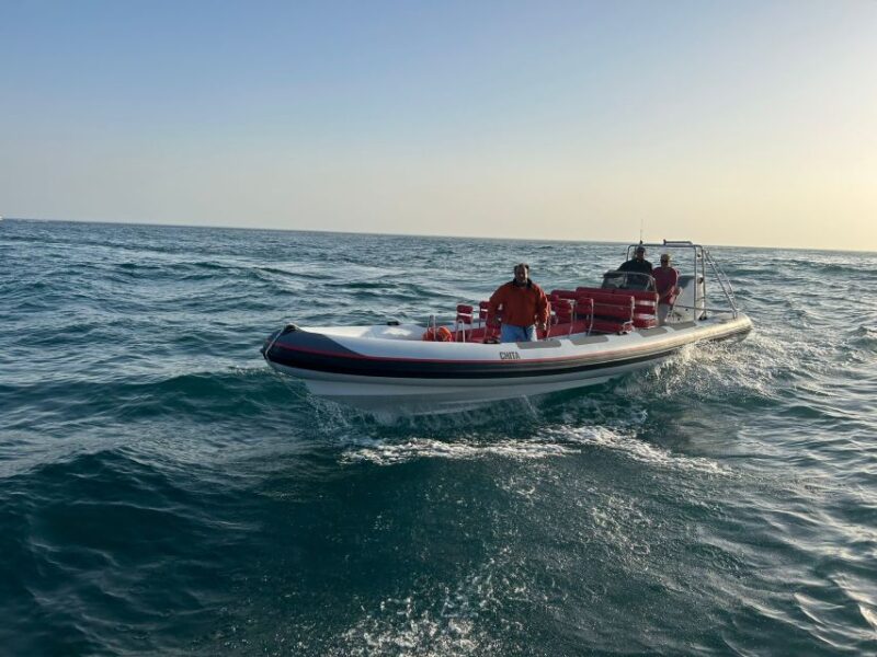 Quarteira: Algarve Coast, Caves and Dolphin Watching Cruise - Cruise Duration and Schedule