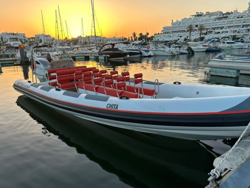 Quarteira: Algarve Coast, Caves and Dolphin Watching Cruise - Key Points