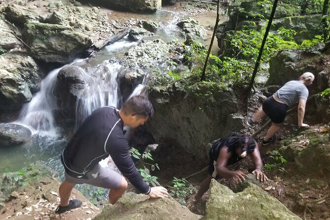 Quashie River Hiking in Cockpit Country Experience - Key Points